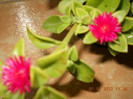 01,07.2012 003