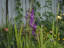DSCN3940