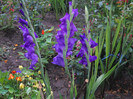 DSCN3955