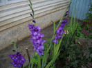 DSCN3956