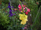 DSCN3958