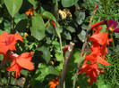 DSCN4016