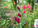 DSCN4055