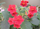 Edith 01-07-2012