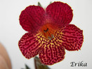 Regent 01-07-2012