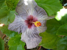 P1150321