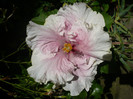 P1150325