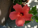 P1150330