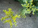 P1020229