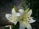 P1020240