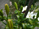 P1020242