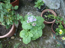 P1020243