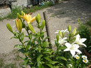 P1020245
