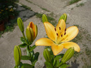 P1020246