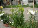 P1020247