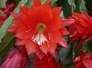 P1020250
