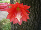 P1020251