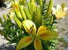 P1020262