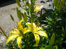 P1020264