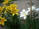 P1020327