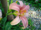 DSC05716