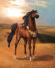 shamal