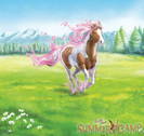 SUM_Maplewind