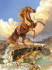 SUM_Mustang