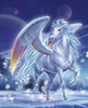 WIN_angel