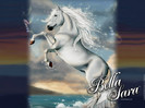 wp_bella_standard