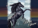 wp_bello_standard
