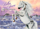 wp_nvlbella_standard