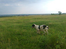 Photo0829