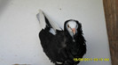 SAM_0189