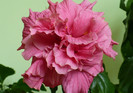 P1400304