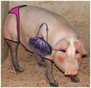 427000_198720360234835_1743392813_n