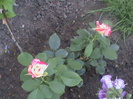 DSC01693