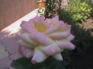 DSC01694