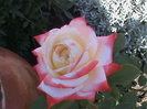 DSC01705