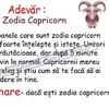 Capricorn