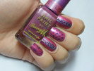 BarryM_ChameleonPink2