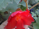 2012-07-02 12.12.55