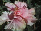 P01-07-12_12.31