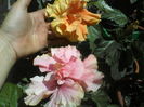 P01-07-12_12.31[1]