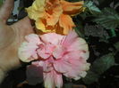 P01-07-12_12.31[4]