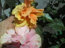 P01-07-12_12.32