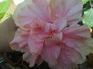 P01-07-12_12.32[2]