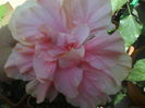 P01-07-12_12.32[3]