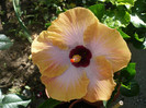 P1150343