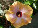 P1150344